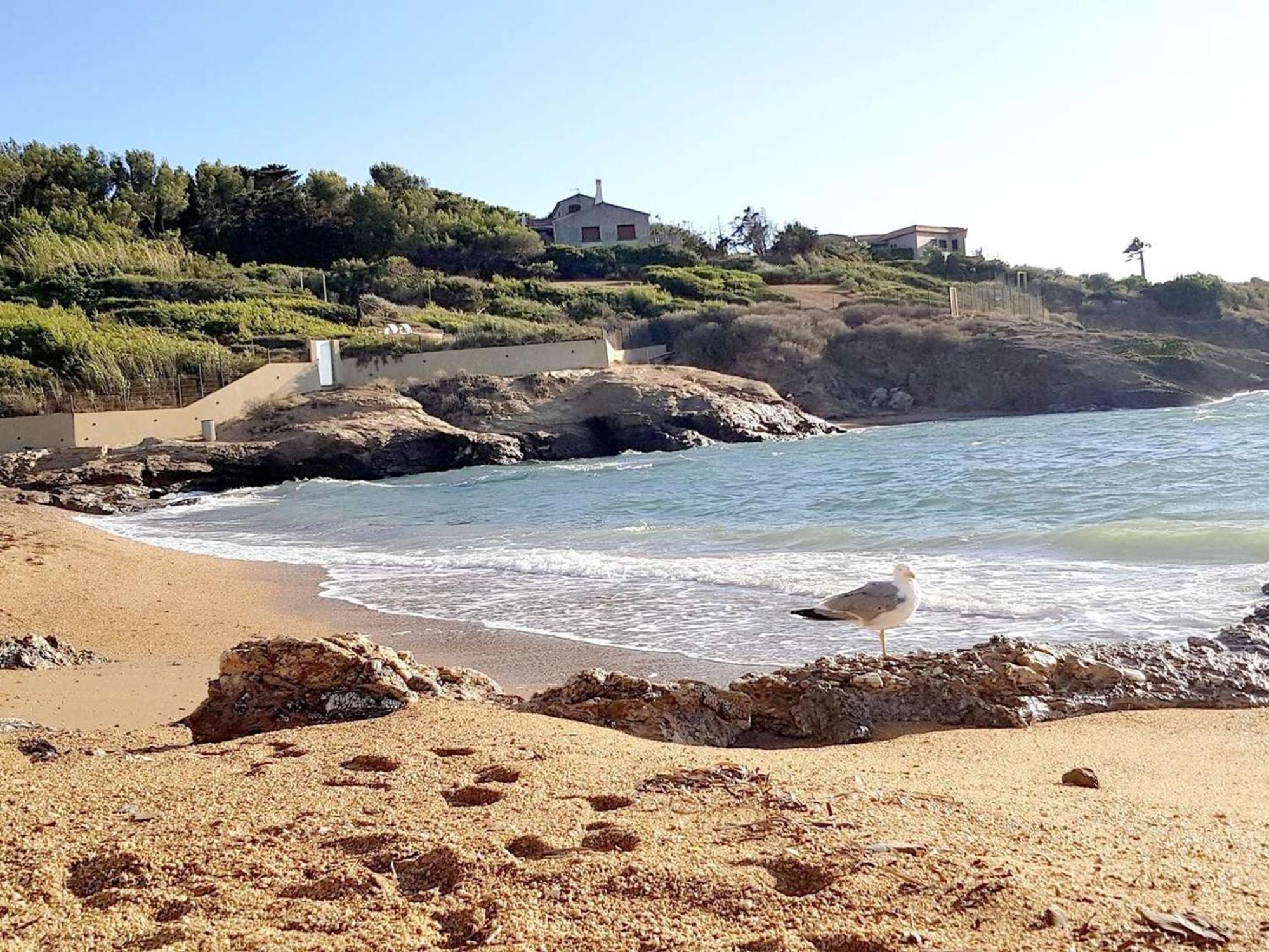 Appartement Six-Fours-les-Plages, 3 pièces, 4 personnes - FR-1-316-230 Extérieur photo